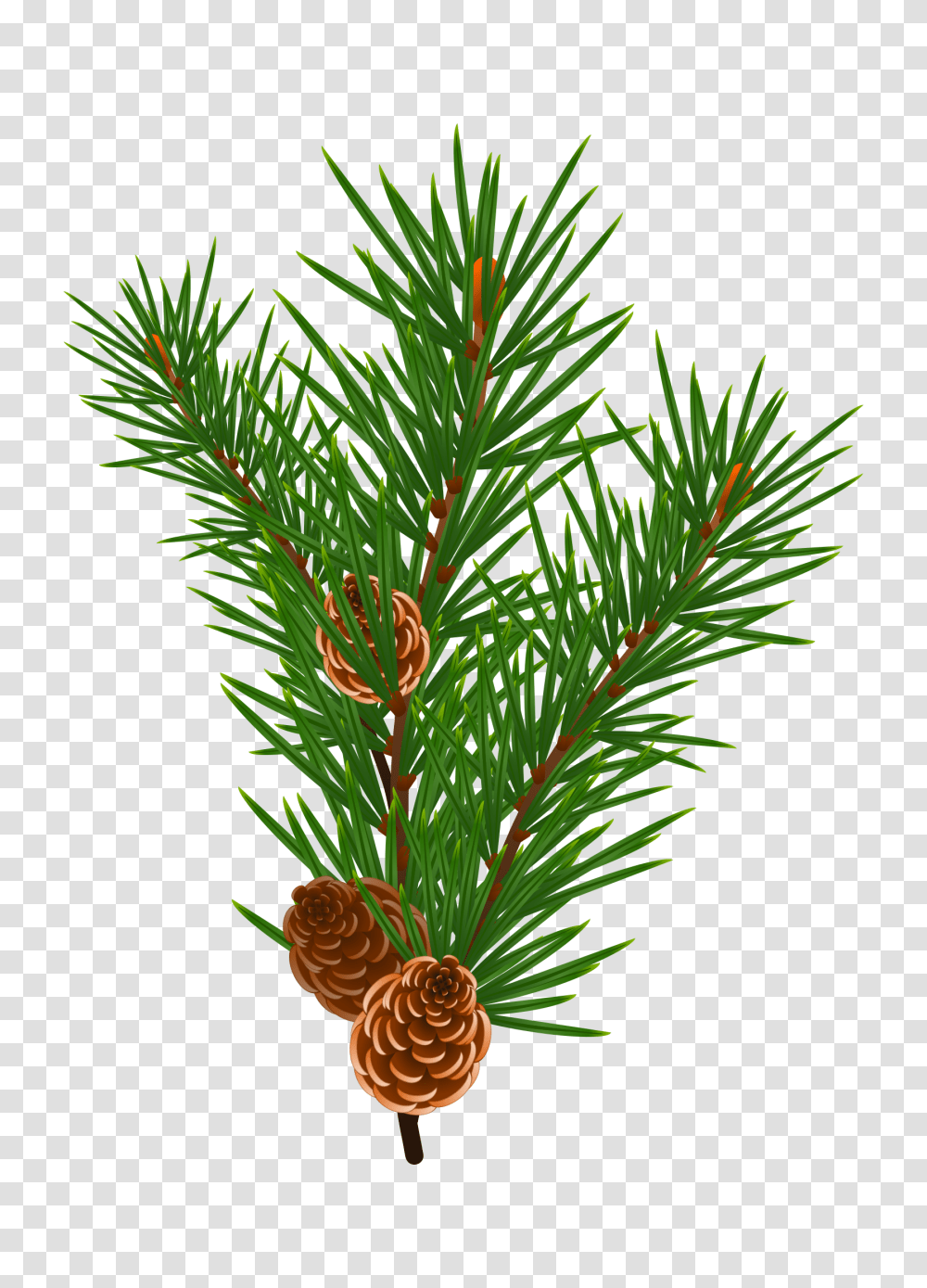 Free Icons Design Of Pine Branch Sweet Smell Of Christmas Printables, Tree, Plant, Conifer, Larch Transparent Png