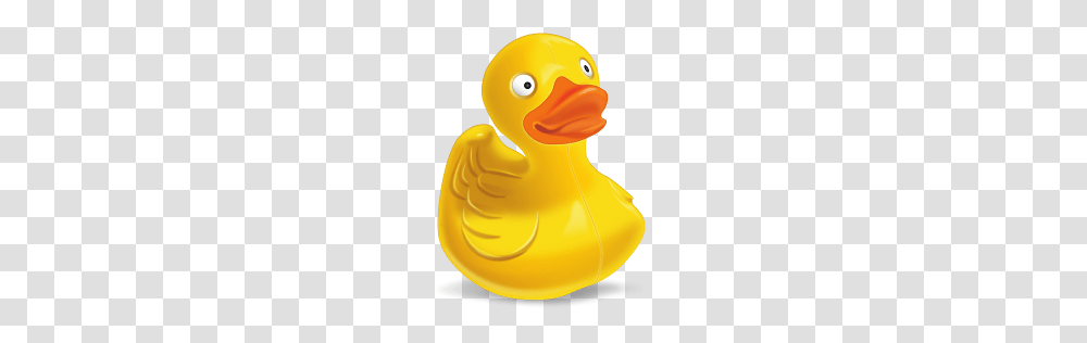 Free Icons Rubber Duck Image, Bird, Animal, Dodo, Beak Transparent Png
