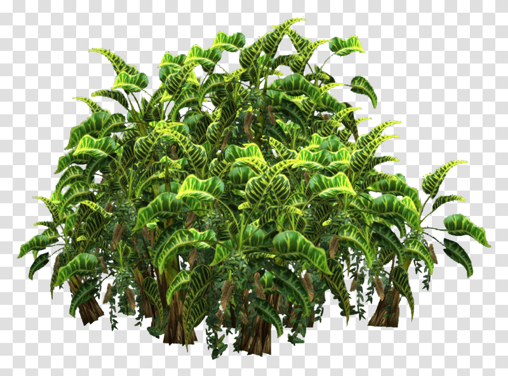 Free Icons Tropical Plantas Plant, Bush, Vegetation, Pattern, Fractal Transparent Png