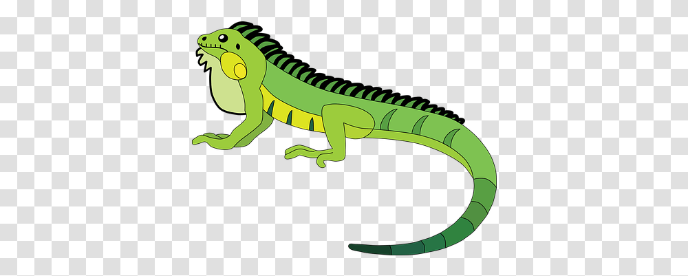 Free Iguana & Lizard Vectors Pixabay Animal Figure, Reptile, Dinosaur Transparent Png