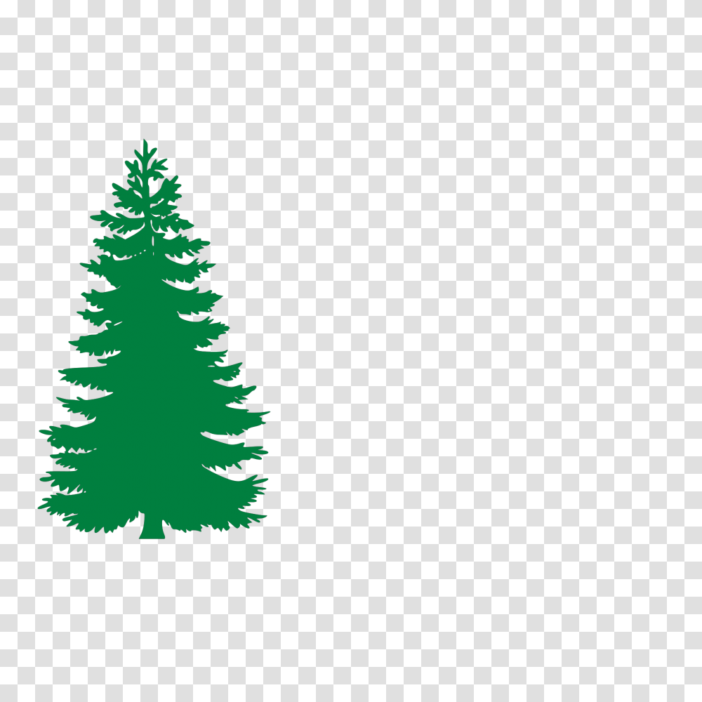 Free Image Fir Evergreen Trees Silhouette Vector Pine Tree Silhouette, Plant, Ornament, Christmas Tree, Abies Transparent Png
