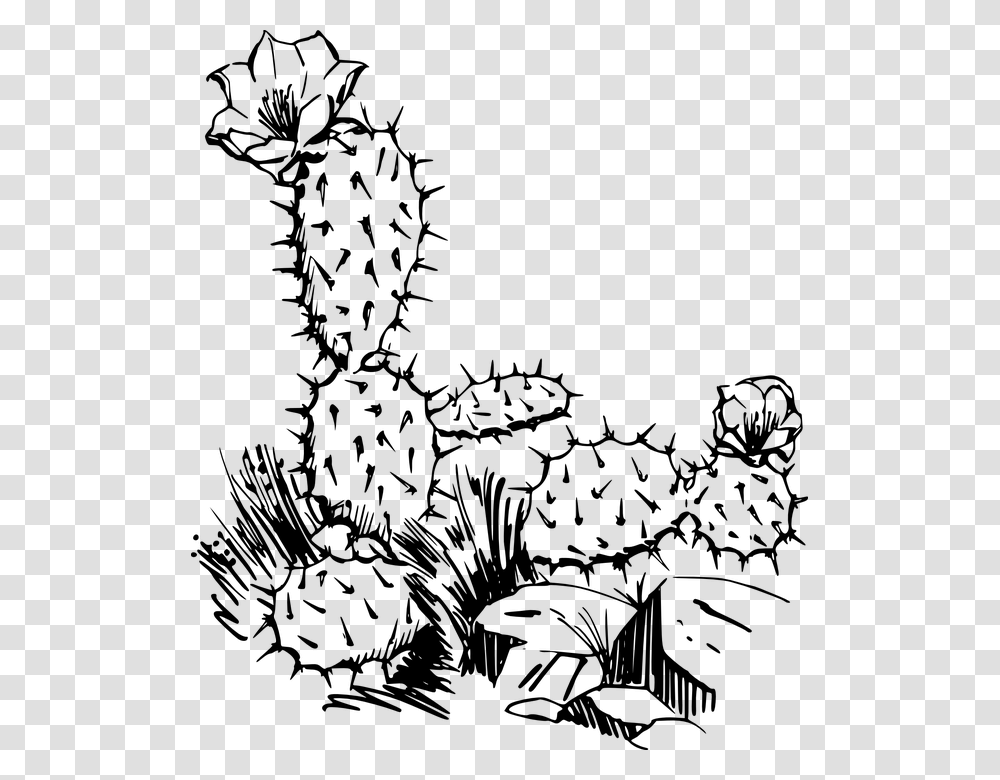 Free Image On Pixabay Cactus Clip Art, Gray, World Of Warcraft Transparent Png
