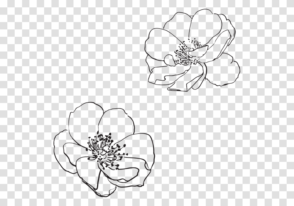 Free Image On Pixabay Flower Line Drawing, Floral Design, Pattern Transparent Png