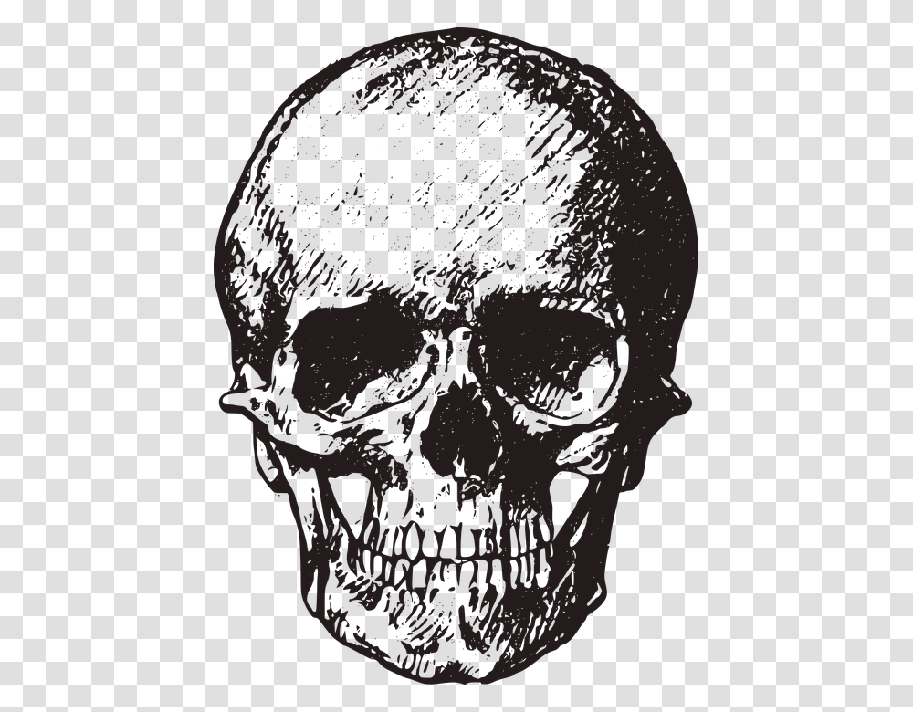 Free Image On Vintage Skull, Head, Face, Hair Transparent Png