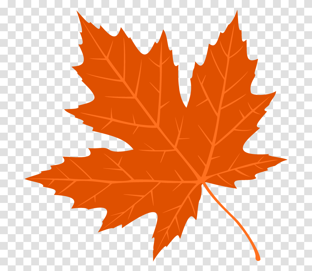 Free Images Autumn Leaves, Leaf, Plant, Tree, Maple Transparent Png