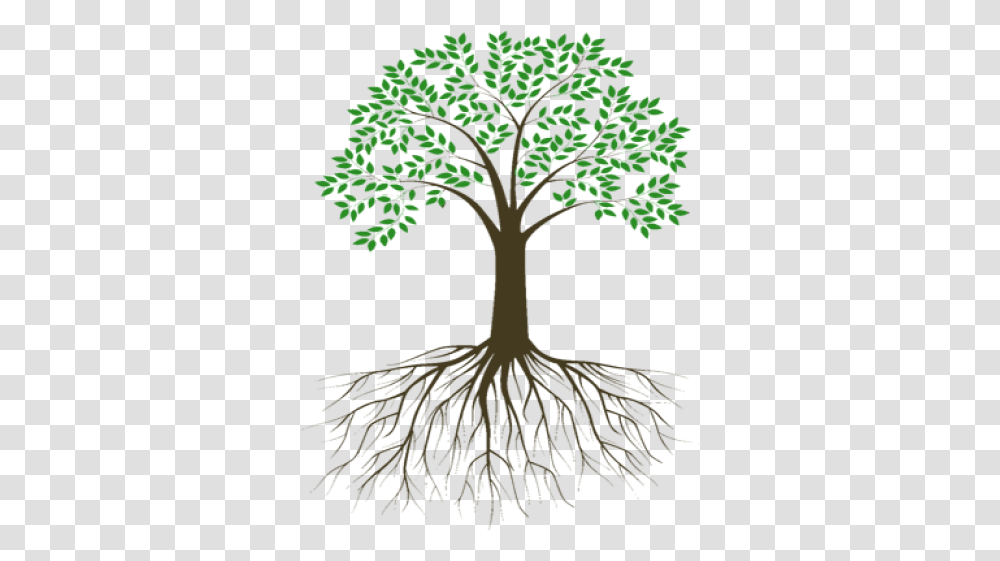 Free Images Background Tree With Roots, Plant, Bird, Animal, Rug Transparent Png