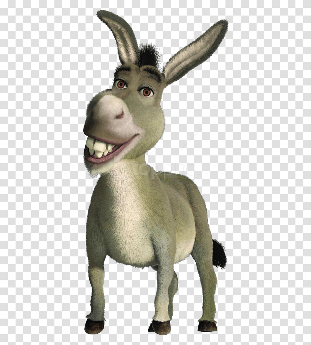Free Images Donkey From Shrek, Animal, Mammal, Dog, Pet Transparent Png