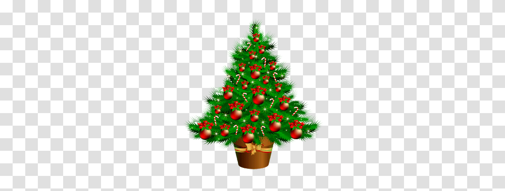 Free Images Download Download Free Christmas Trees, Ornament, Plant Transparent Png