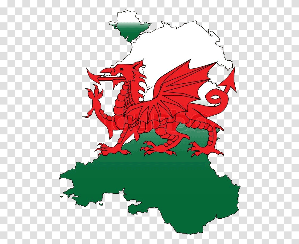 Free Images Of Welsh Dragon Clipart Welsh Dragon Transparent Png