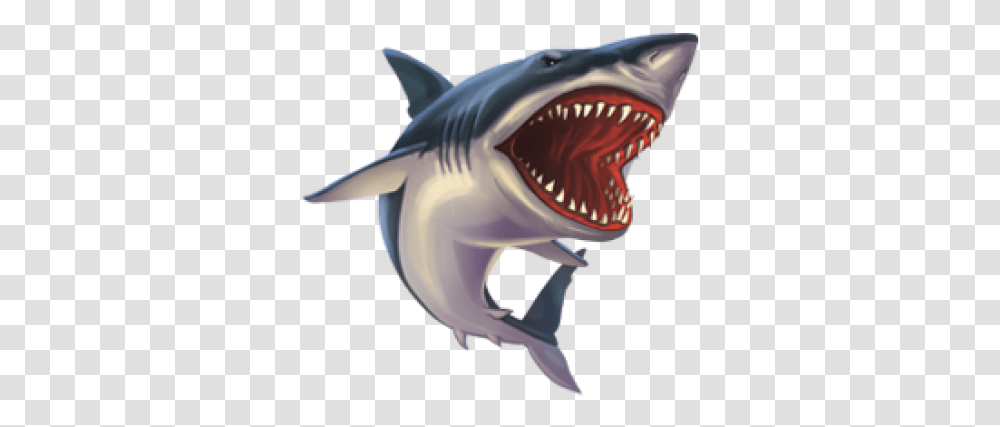 Free Images Shark Attack, Sea Life, Fish, Animal, Great White Shark Transparent Png