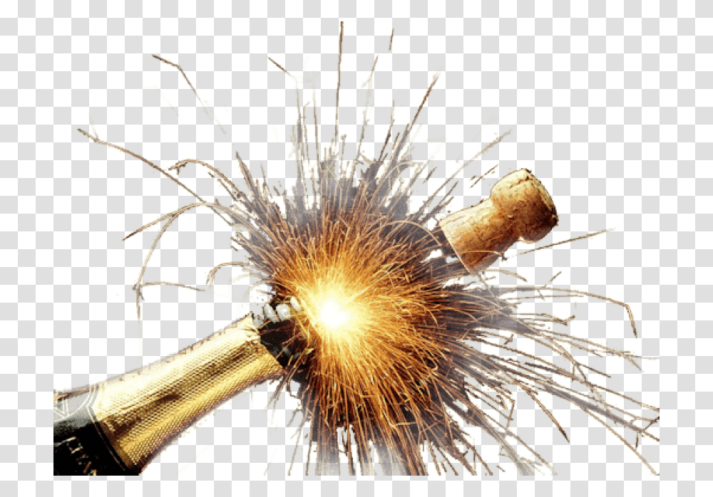 Free Images Toppng Champagne Bottle Explosion, Plant, Cork, Tree, Light Transparent Png