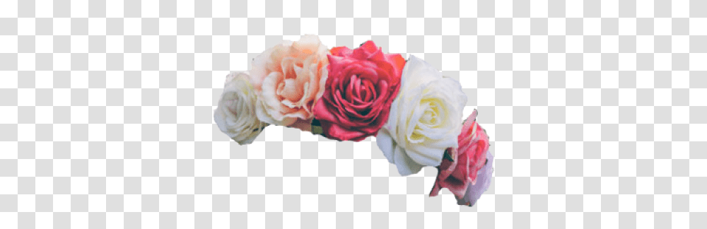 Free Images & Vectors Graphics Psd Files Dlpngcom Background Flower Crown, Plant, Blossom, Rose, Flower Bouquet Transparent Png