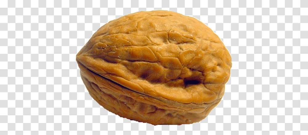 Free Images Walnut No Background, Bread, Food, Plant, Vegetable Transparent Png