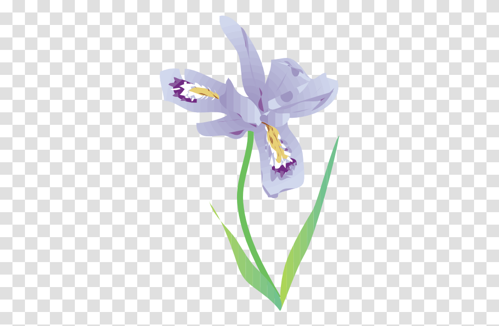 Free Iris Flower Download Dwarf Lake Iris Illustration, Plant, Blossom, Petal, Geranium Transparent Png