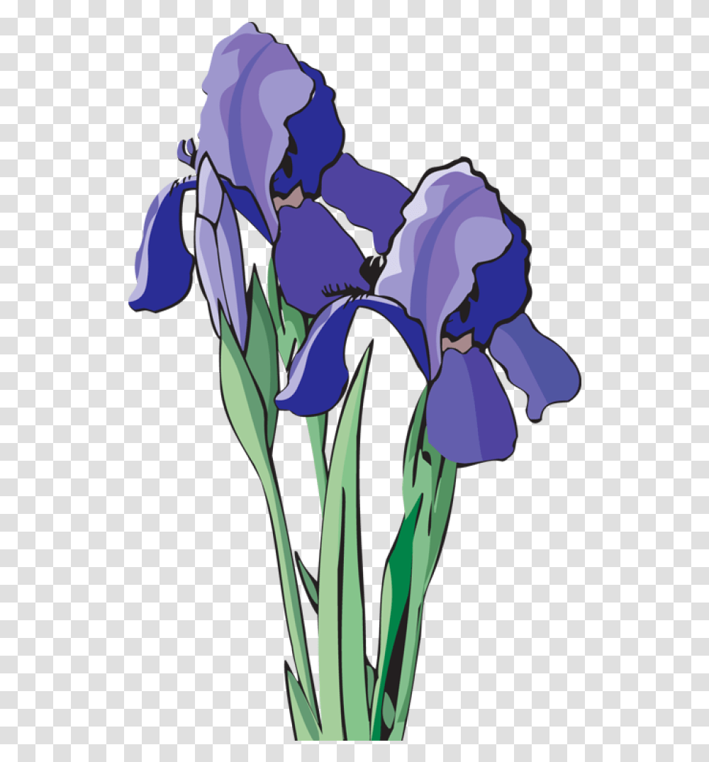 Free Iris Flower Download Volunteer State Book Award, Plant, Blossom Transparent Png