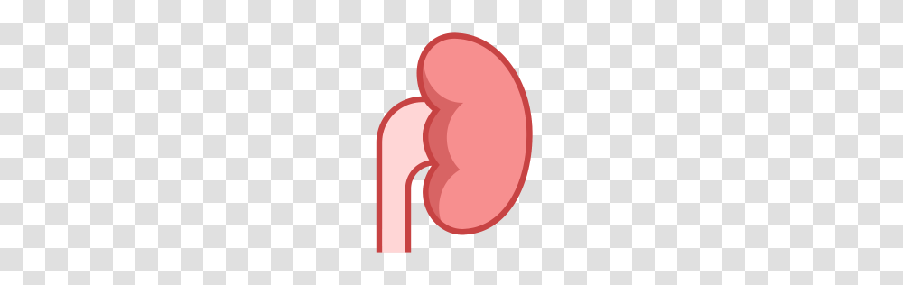 Free Kidney Icon Download Formats, Mouth, Lip, Heart, Tongue Transparent Png