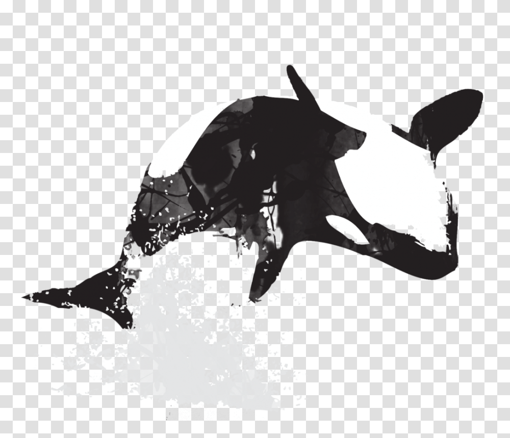 Free Killer Whale, Mammal, Animal, Sea Life, Orca Transparent Png