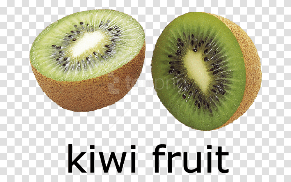 Free Kiwi Fruit Images Kiwi Images With Name, Plant, Food Transparent Png