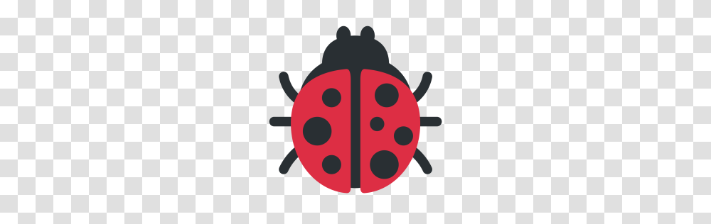 Free Lady Beetle Insect Ladybird Ladybug Icon Download, Outdoors, Nature, Water, Bowl Transparent Png