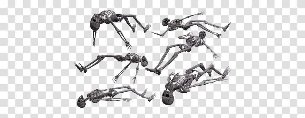 Free Laying & Woman Illustrations Skeleton Lying Down, Animal, Person, Human, Alien Transparent Png