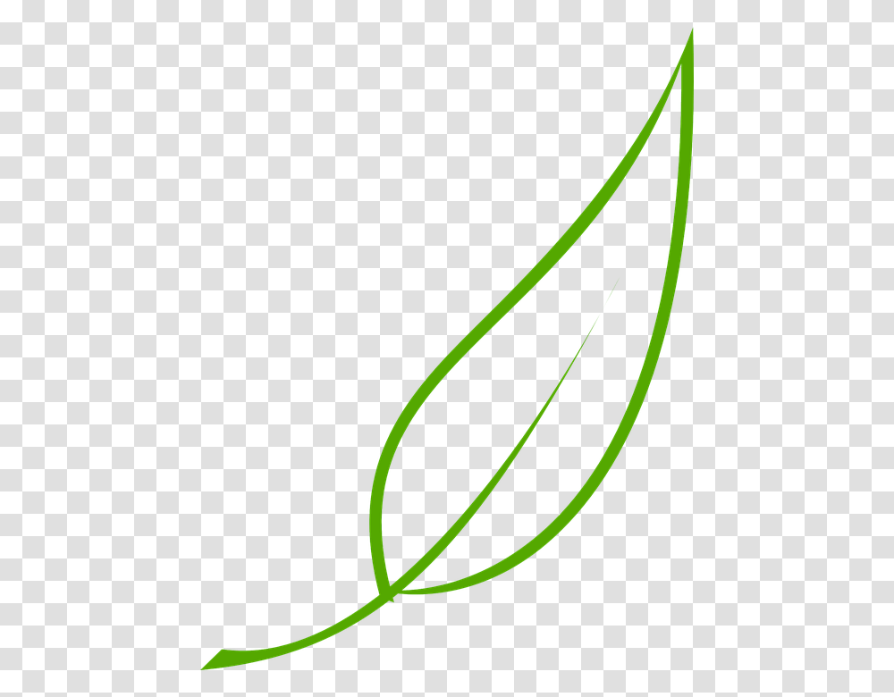 Free Leaf Clip Art, Plant, Tree, Bow, Green Transparent Png
