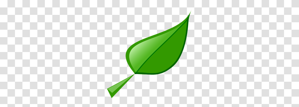 Free Leaf Clipart Leaf Icon, Plant, Green, Tennis Ball, Sport Transparent Png
