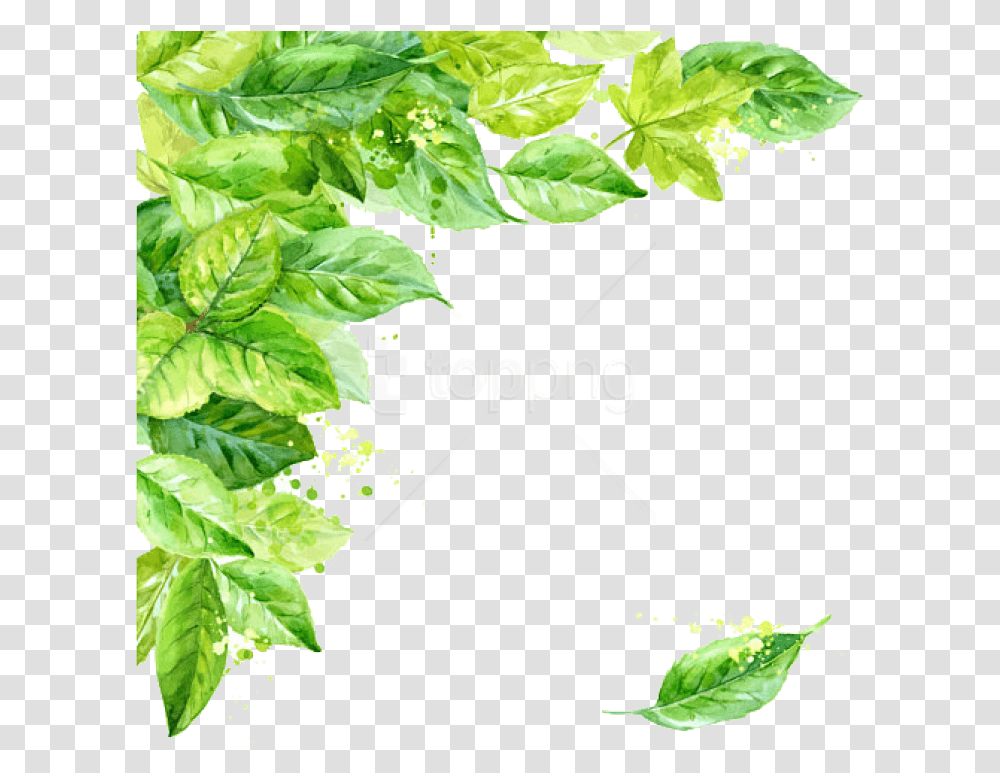 Free Leaf Frame Background Leaves, Plant, Green, Vase, Jar Transparent Png