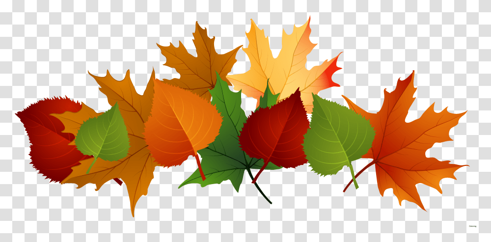 Free Leaf Free On Dumielauxepices Fall Leaves Background, Plant, Tree, Maple Leaf, Green Transparent Png