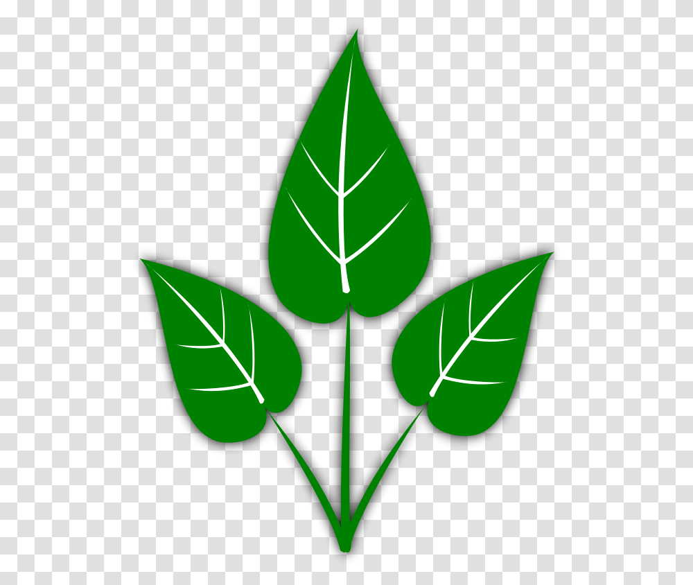 Free Leaf Images Freeuse Files Please Don T Water The Plants, Veins, Green, Pattern, Soil Transparent Png