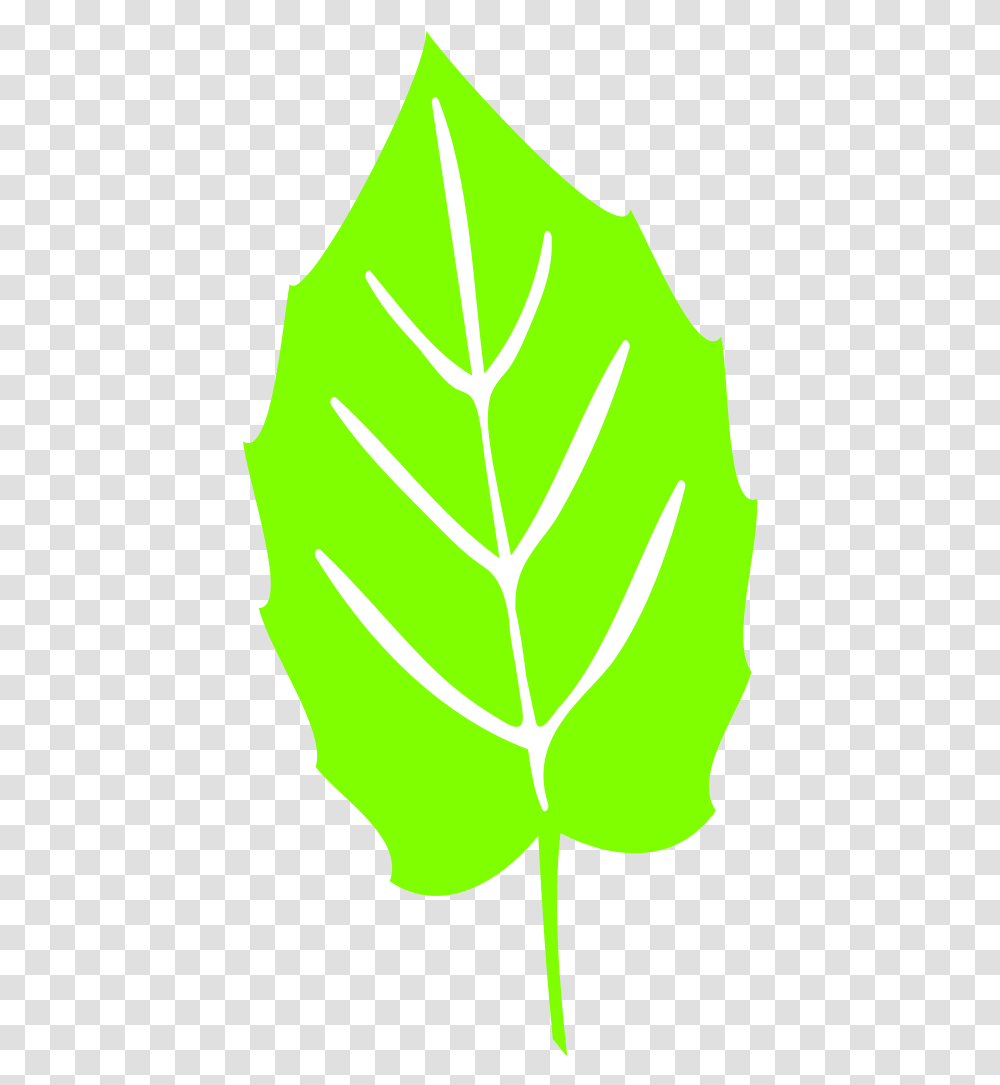 Free Leaf Symbol Download Clip Art Sunflower Leaf Svg, Plant, Light, Veins, Tree Transparent Png