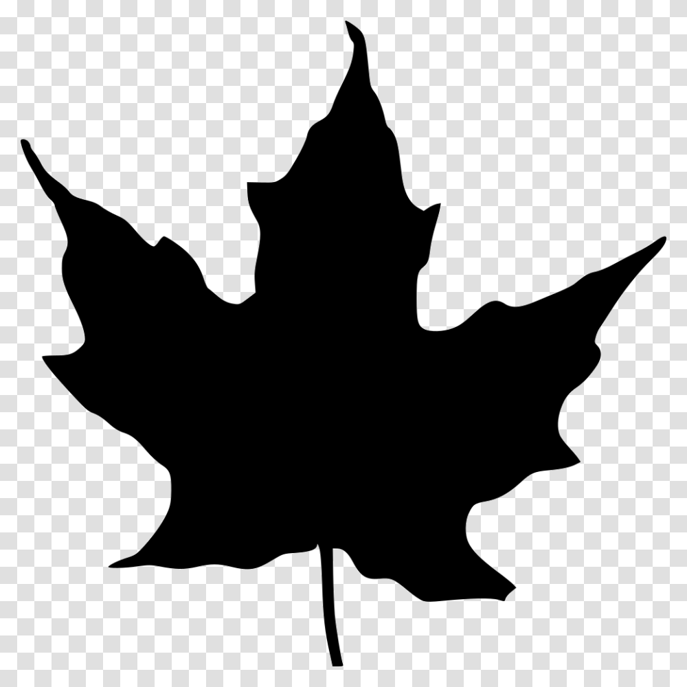 Free Leaf Vector, Plant, Silhouette, Maple Leaf, Person Transparent Png