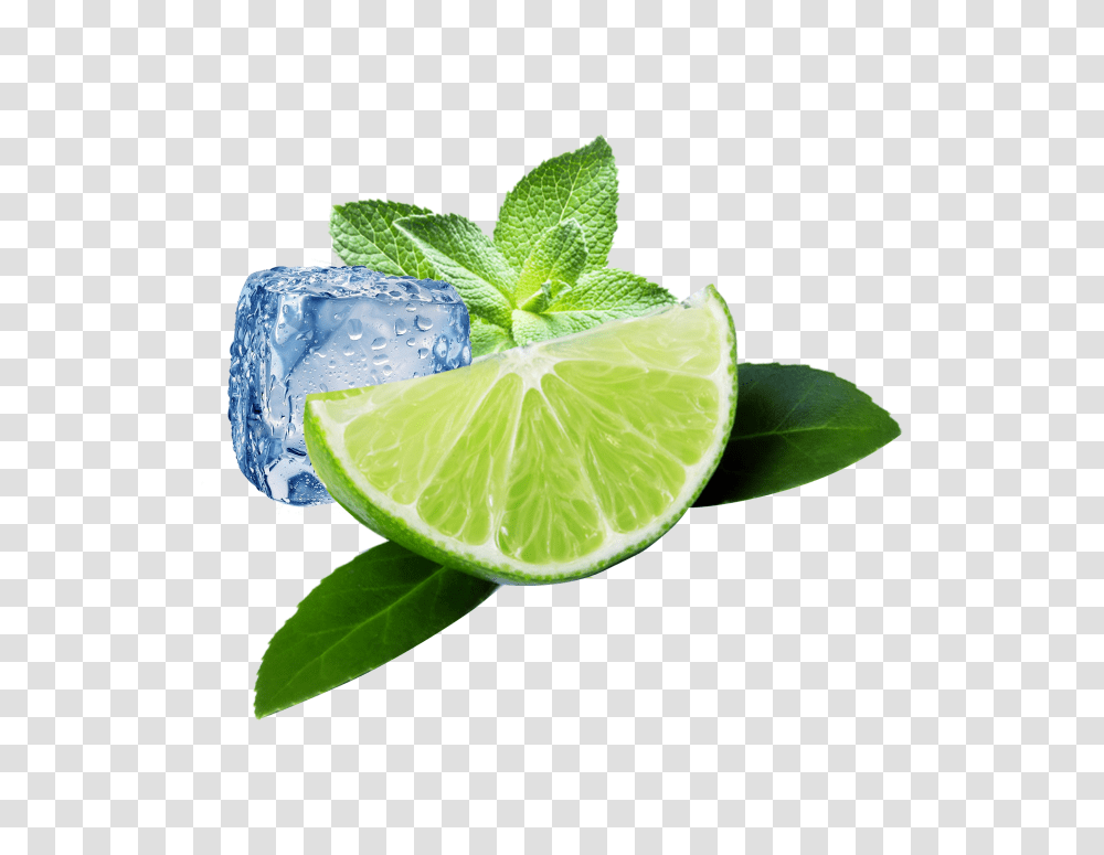 Free Lemon Background Mojito, Lime, Citrus Fruit, Plant, Food Transparent Png