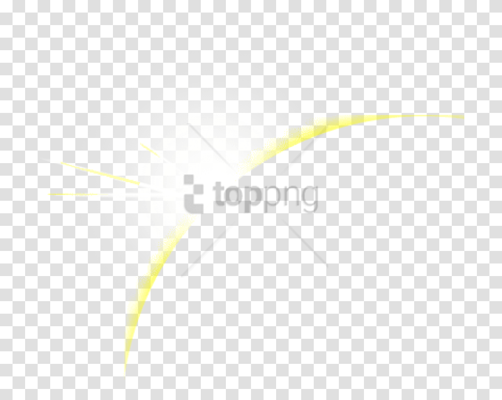 Free Lens Flare Sun Image With Illustration, Label, Nature, Outdoors Transparent Png