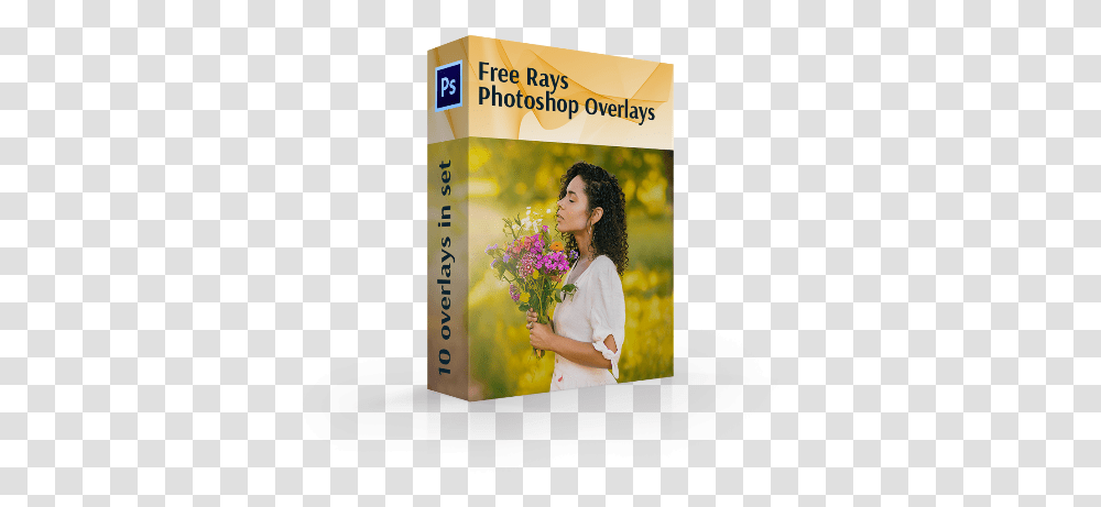 Free Light Rays Photoshop Overlays Valerian, Person, Plant, Flower, Poster Transparent Png