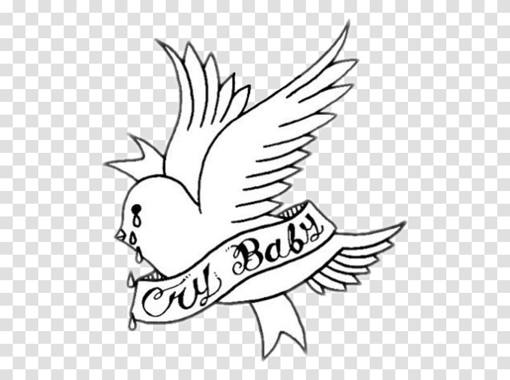 Free Lil Peep Dove Images Lil Peep Crybaby Songs, Bird, Animal, Cupid, Pigeon Transparent Png