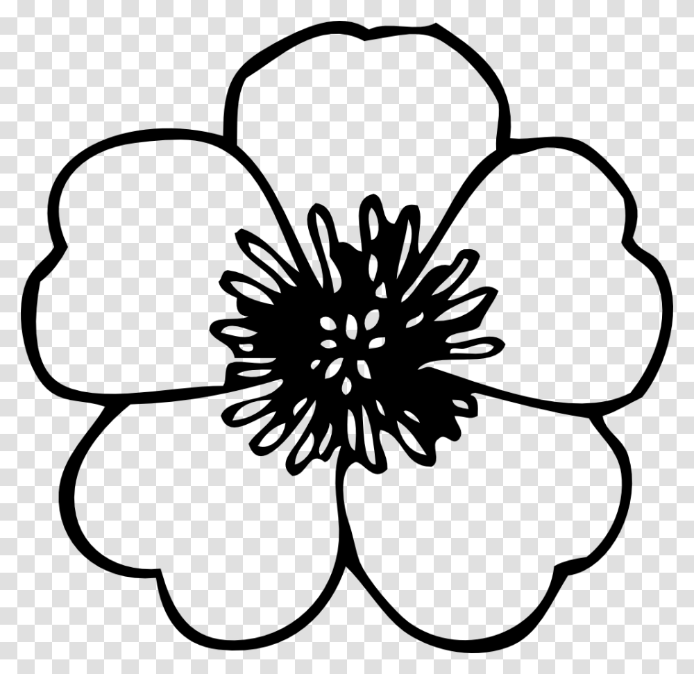 Free Line Drawings Of Flowers, Plant, Blossom, Petal, Hibiscus Transparent Png
