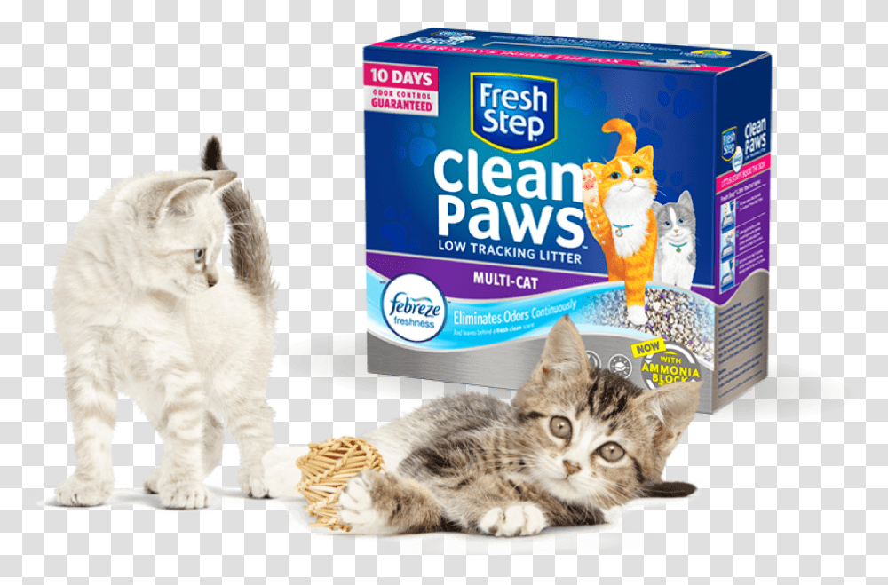 Free Litter Cats Fresh Step Clean Paws Cat Litter, Pet, Mammal, Animal, Kitten Transparent Png