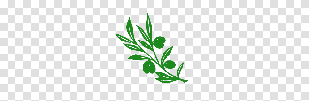 Free Live Clipart L Ve Icons, Plant, Leaf, Vase, Jar Transparent Png