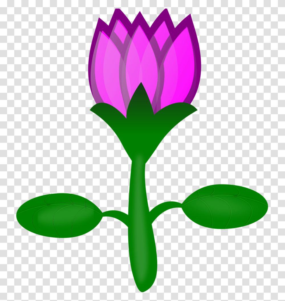 Free Lotus Clip Art Stock Images, Plant, Flower, Blossom, Vegetation Transparent Png