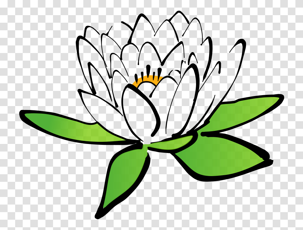 Free Lotus Flower & Images Pixabay Cartoon Flowers Background, Green, Label, Text, Shark Transparent Png