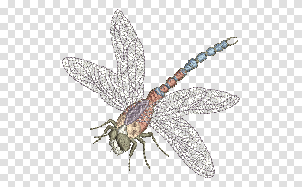 Free Machine Embroidery Clipart Embroidery Designs Free Downloads, Dragonfly, Insect, Invertebrate, Animal Transparent Png
