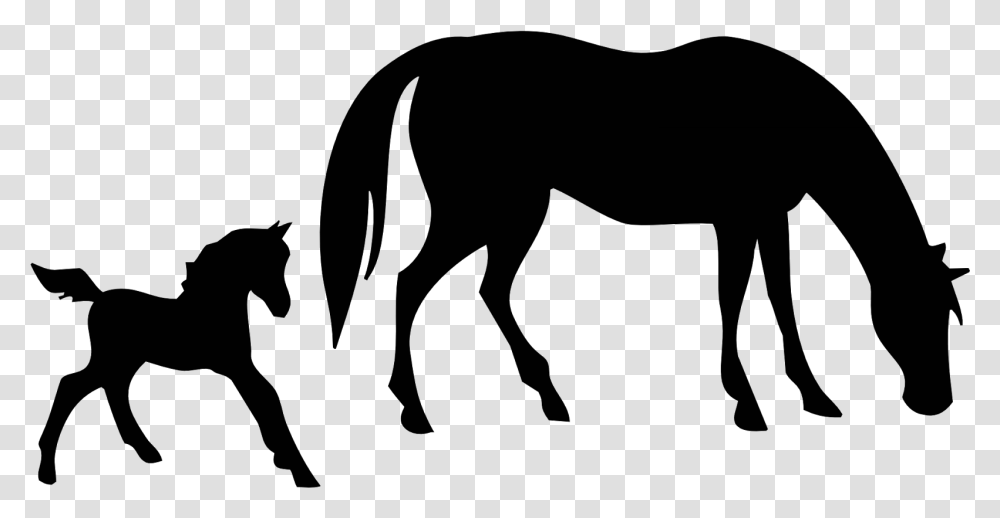 Free Mare And Foal Horse Clipart, Face, Gray, World Of Warcraft Transparent Png