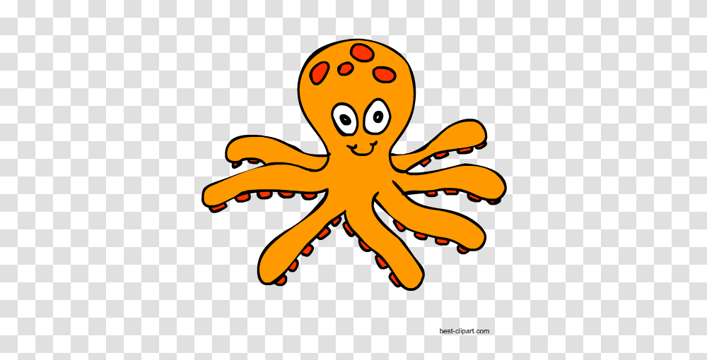 Free Marine Animals Ocean Animals Or Under Water Animals Clip Art, Octopus, Invertebrate, Sea Life, Insect Transparent Png