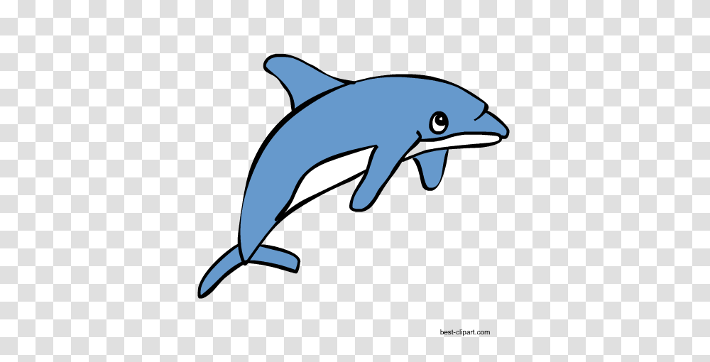Free Marine Animals Ocean Animals Or Under Water Animals Clip Art, Shark, Sea Life, Fish, Dolphin Transparent Png