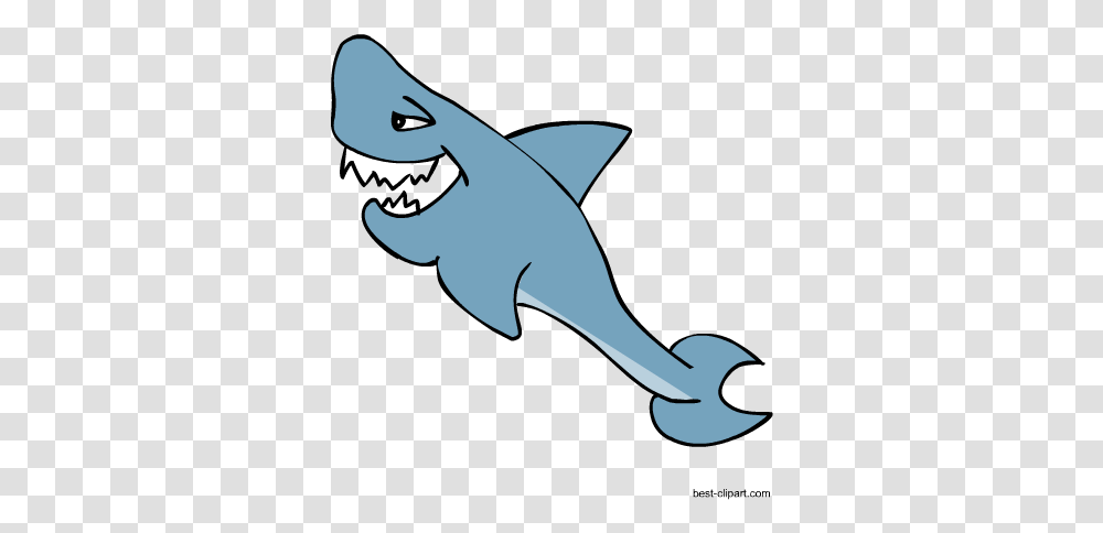 Free Marine Animals Ocean Or Under Water Animals That Live In Water Clip Art, Shark, Sea Life, Fish, Mammal Transparent Png