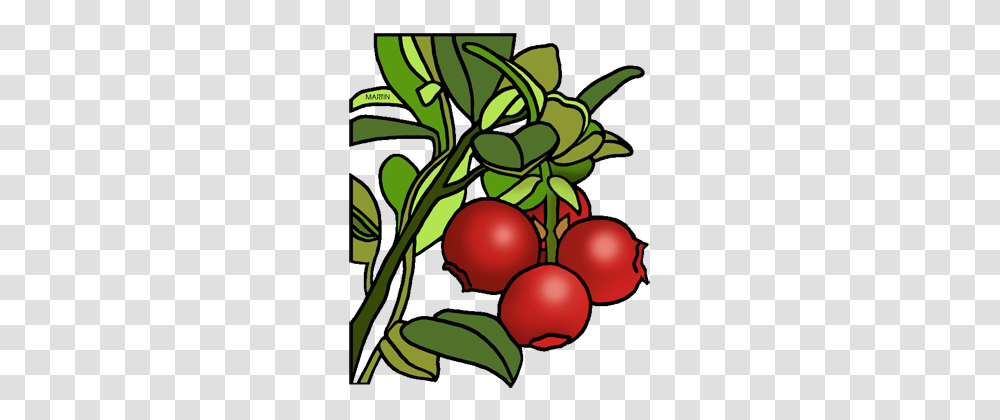 Free Massachusetts Clip Art, Plant, Fruit, Food, Tree Transparent Png