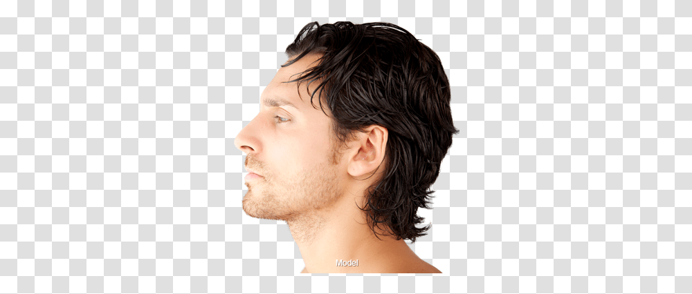 Free Men Hairstyle Images Download Lace Wig, Face, Person, Human, Jaw Transparent Png