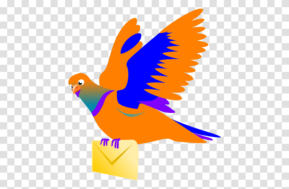 Free Message From Cliparts, Animal, Bird, Flying, Parrot Transparent Png