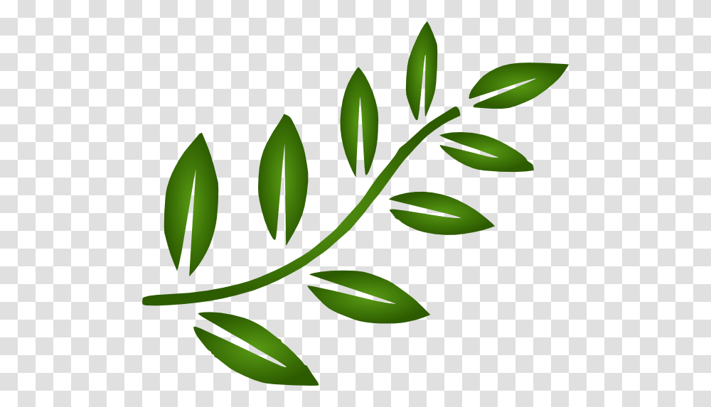 Free Mint Leaves Clipart Image Information, Green, Leaf, Plant Transparent Png
