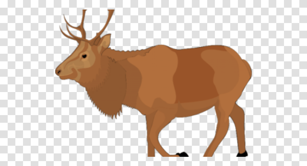 Free Moose Clipart Animated Elk Cartoon Elk Clipart, Animal, Wildlife, Mammal, Antelope Transparent Png